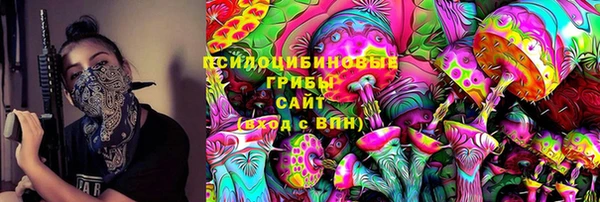 индика Балабаново
