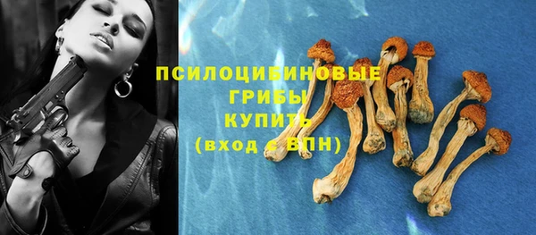 индика Балабаново